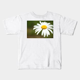 Delicate blossoming garden daisy, flower photography Kids T-Shirt